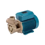 Calpeda Pump End Bronze Surface, Model B-TM 70/A (1 HP / 220 V )