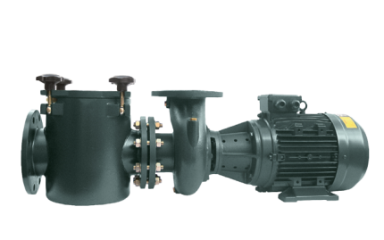 مضخة مسبح PSH التجارية العملاقة من الحديد الزهر، موديل PSH FDN-21 10 HP (1500 rpm)